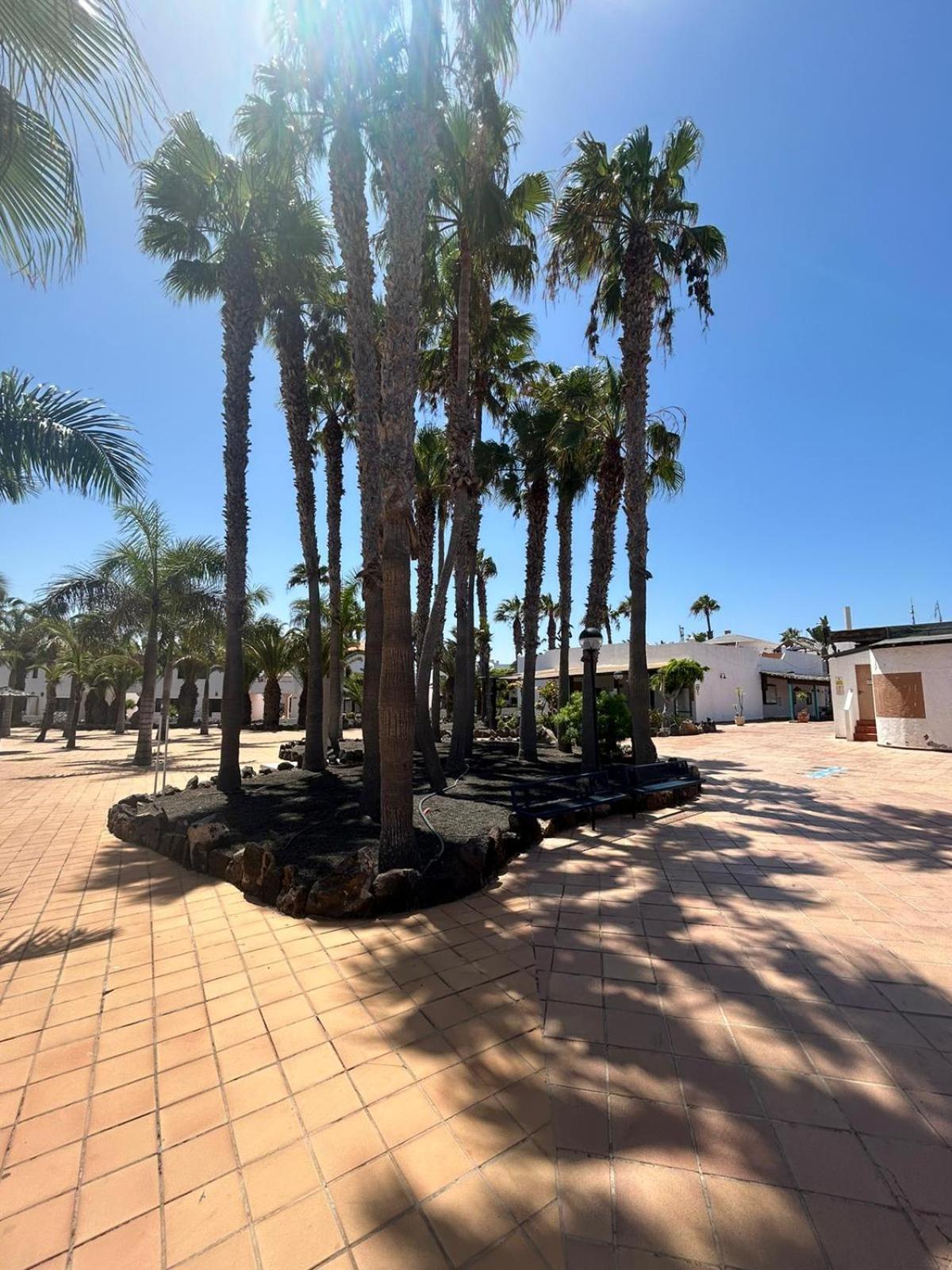 Apartamentos Gala Corralejo Dış mekan fotoğraf